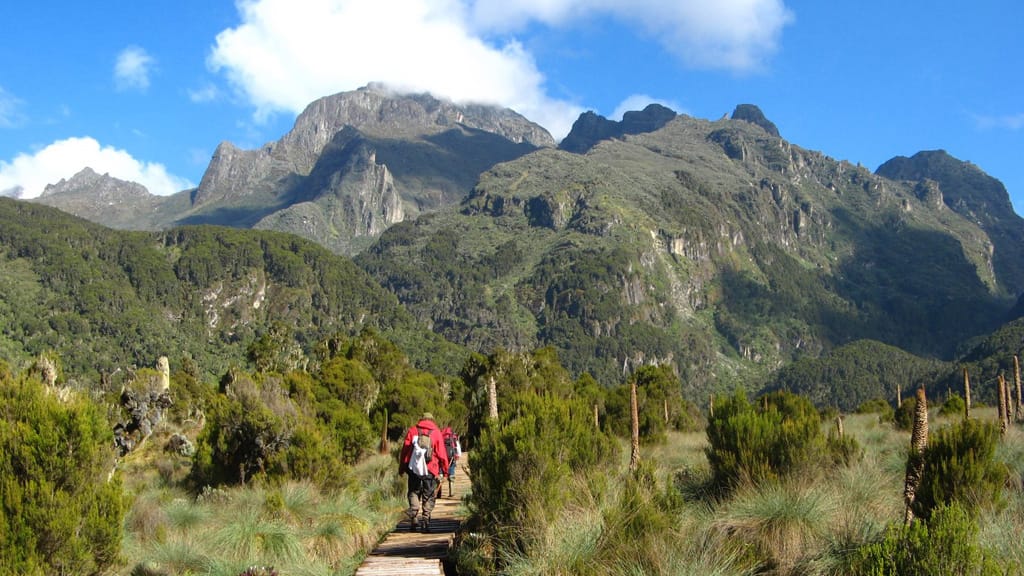 Watch: The Amazing Mountains of the Moon -Rwenzori in Uganda