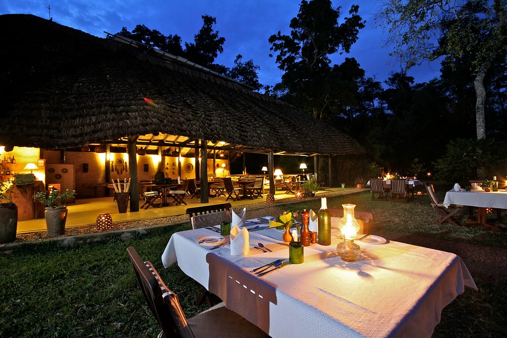 Top 10 Stunning Wedding Venues in Uganda for Your Dream Destination Wedding 8. ISHASHA WILDERNESS CAMP