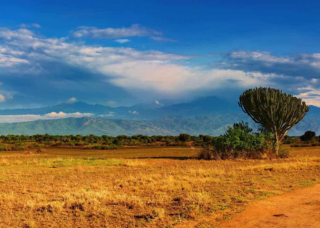 25+ Best Tourism Photos of Uganda: Stunning Pictures.