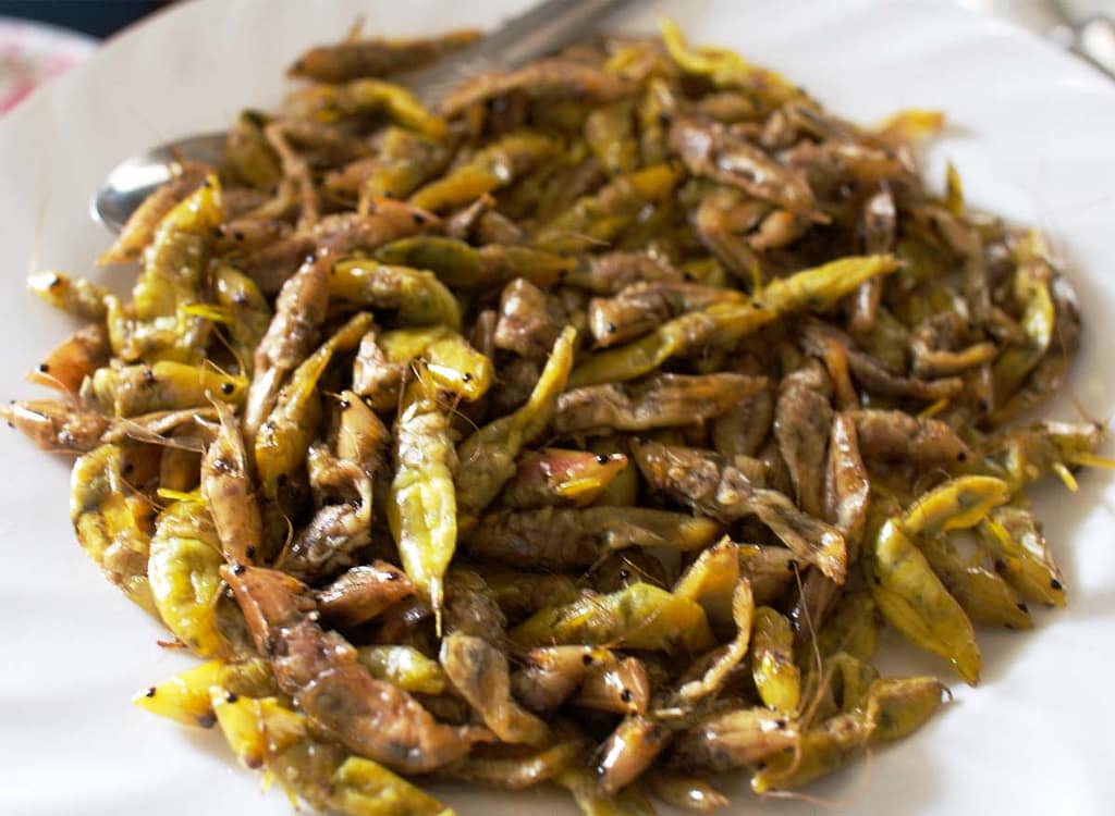 The 20 Most Popular Traditional Foods in Uganda nsenene or ugandan grasshopper