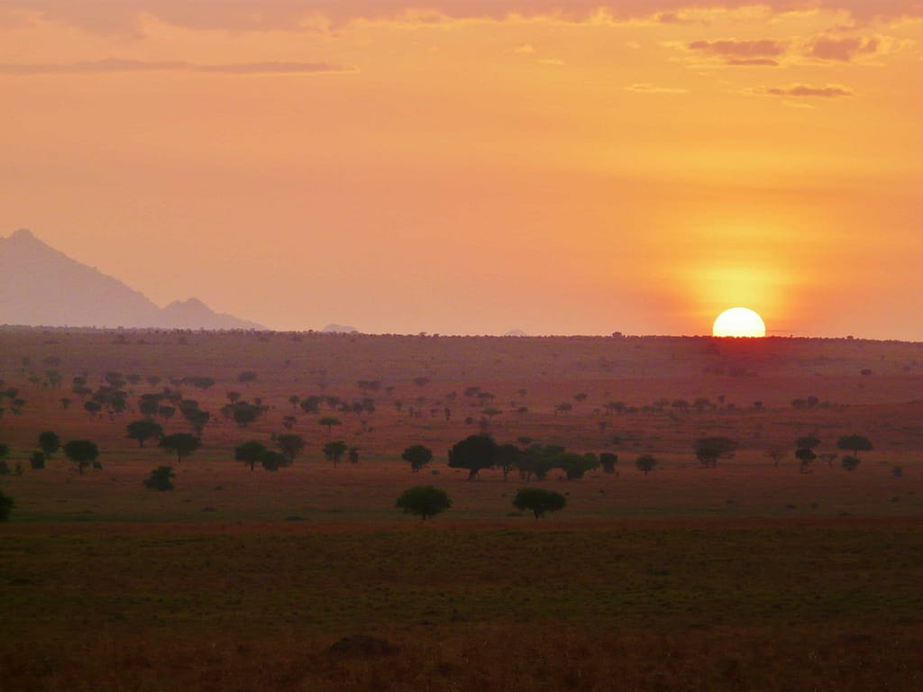 25+ Best Tourism Photos of Uganda: Stunning Pictures.