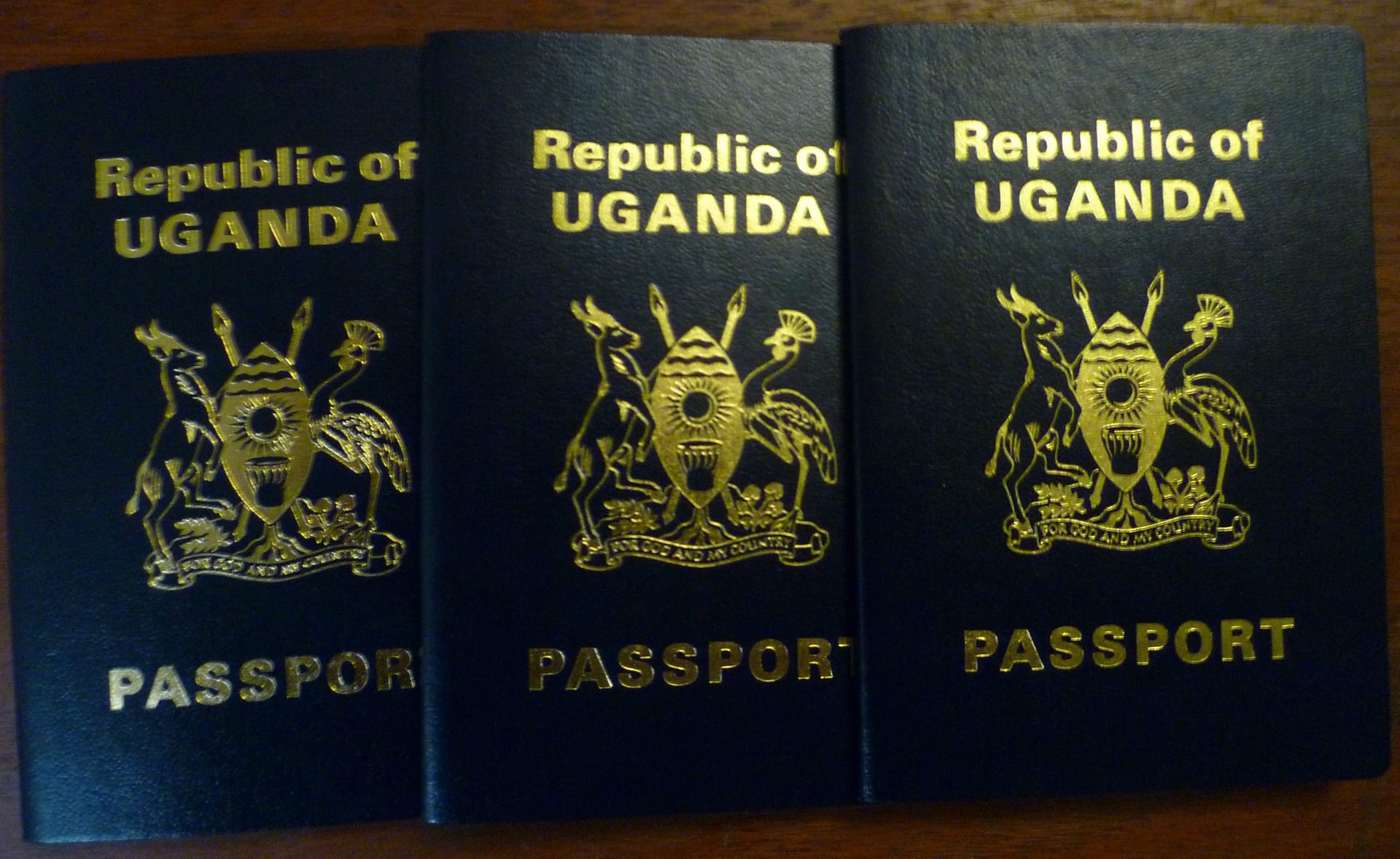Temporary shortage of Ordinary Machine Readable Passports