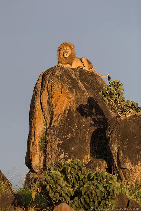 25+ Best Tourism Photos of Uganda: Stunning Pictures.