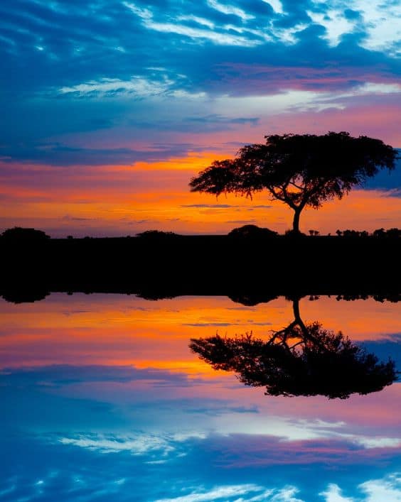25+ Best Tourism Photos of Uganda: Stunning Pictures.